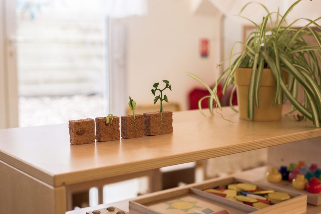 Découvrez le Principe de l'École Montessori : Une Approche Éducative Révolutionnaire