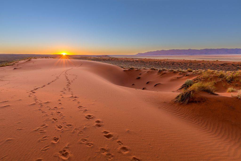 Les plus beaux paysages du désert de Kalahari