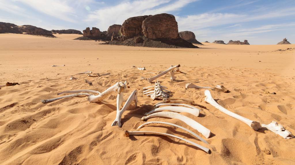 Visiter sefar en algérie : que voir, que faire et comment s’y rendre