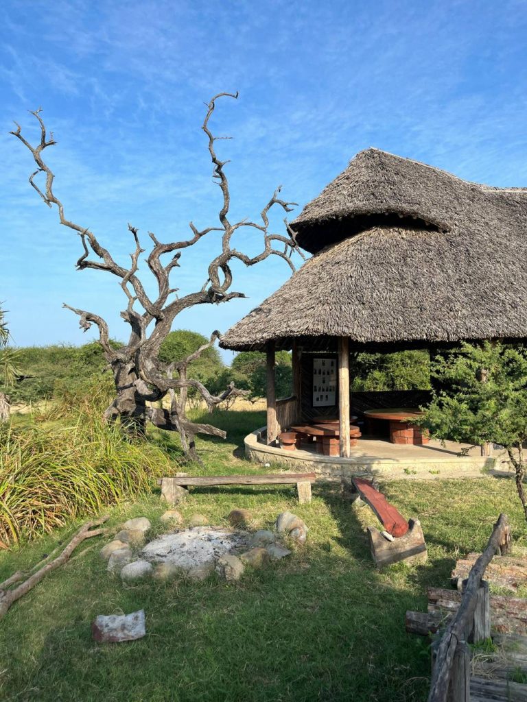 Les lodges à privilégier pendant un voyage au botswana